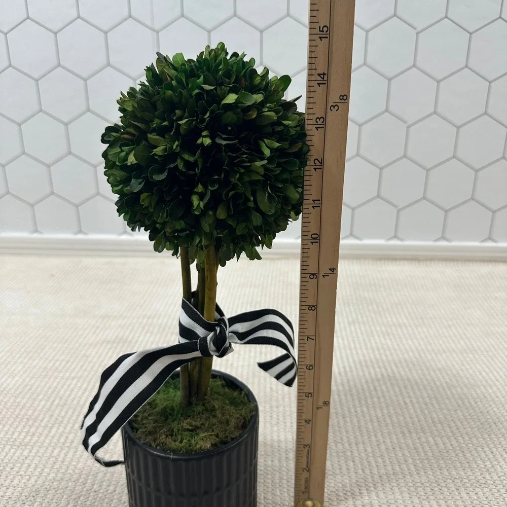 Preserved Boxwood Topiary 15in Ball in Black Ribbed Ceramic‎ Pot Striped Ribbon